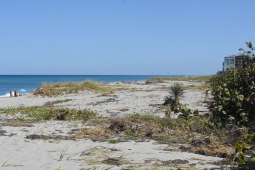 juno dunes beach